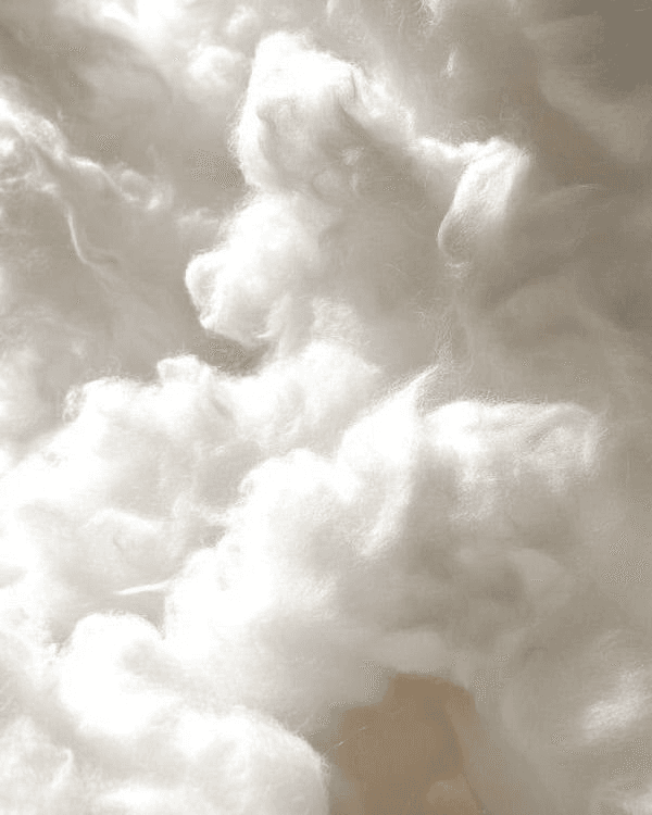 Merino wool